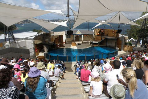 Sydney Taronga Zoo General Entry Ticket - Go Out 5