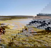 Kangaroo Island Personal Group Tours - Pubs and Clubs