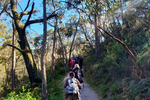 Self-Guided Waterfall Gully To Mount Lofty Hike From Adelaide - Pubs and Clubs 1