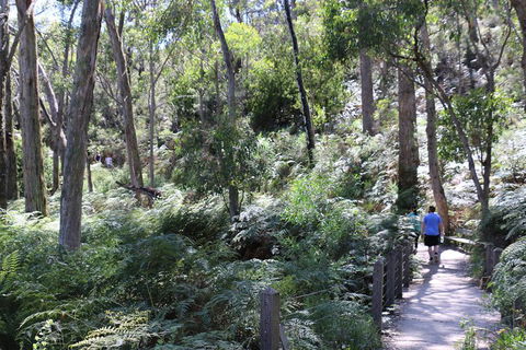 Self-Guided Waterfall Gully To Mount Lofty Hike From Adelaide - Pubs and Clubs 2
