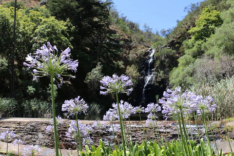 Self-Guided Waterfall Gully To Mount Lofty Hike From Adelaide - Pubs and Clubs 3