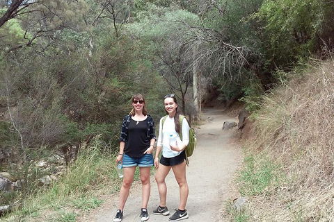 Self-Guided Waterfall Gully To Mount Lofty Hike From Adelaide - Pubs and Clubs 4