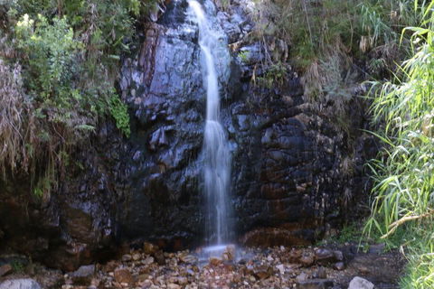 Self-Guided Waterfall Gully To Mount Lofty Hike From Adelaide - Pubs and Clubs 5