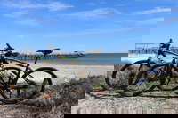 Adelaide City to Sea Bike Tour