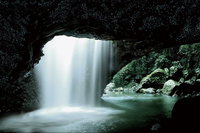 Natural Bridge Glow Worm Night Tour from Gold Coast, Surfers Paradise