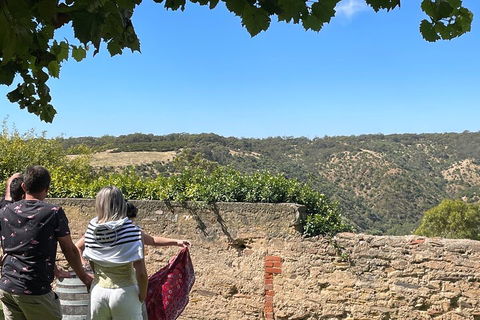 Private Mclaren Vale Wine Tour - Pubs and Clubs 2