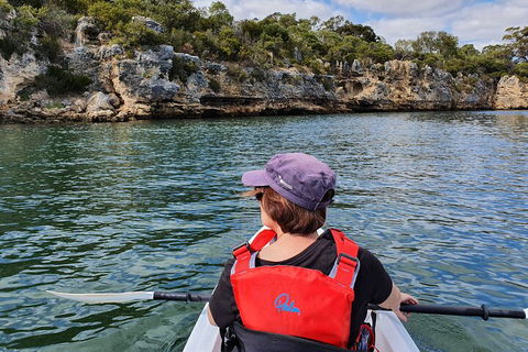 Cliffs And Caves Kayak Tour In Swan River - Go Out 0