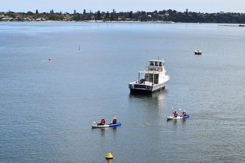 Cliffs And Caves Kayak Tour In Swan River - Go Out 2