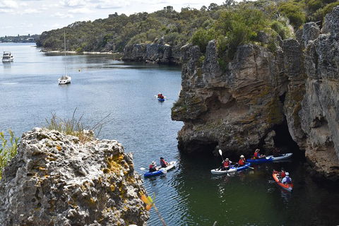 Cliffs And Caves Kayak Tour In Swan River - Go Out 5