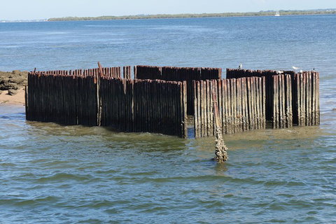 Best Of Moreton Bay Cruise - Go Out 1