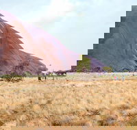 Uluru Sunrise and Guided Base Walk - Pubs and Clubs