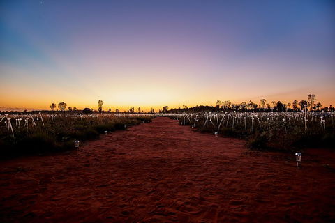 Uluru (Ayers Rock) Field Of Light Sunrise Tour - Pubs and Clubs 3