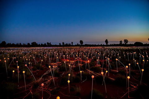 Uluru (Ayers Rock) Field Of Light Sunrise Tour - Pubs and Clubs 4