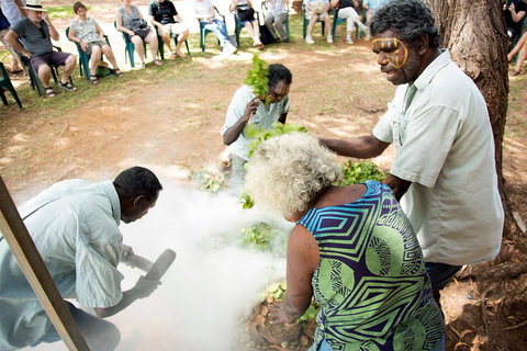 Tiwi Islands Cultural Experience From Darwin Including Ferry - Go Out 4