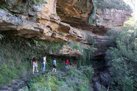 Blue Mountains Nature And Wildlife Day Tour From Sydney - Pubs and Clubs 2