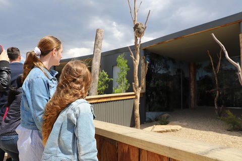 Blue Mountains Nature And Wildlife Day Tour From Sydney - Pubs and Clubs 3