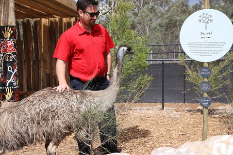 Blue Mountains Nature And Wildlife Day Tour From Sydney - Pubs and Clubs 5
