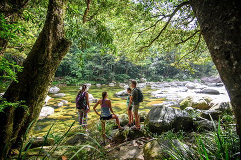 Private Daintree Mossman Gorge Exclusive Nature And Wildlife Focus - Pubs and Clubs 5