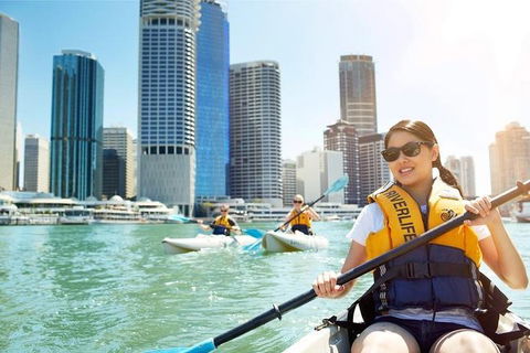Brisbane Kayak Tour - Pubs and Clubs 5