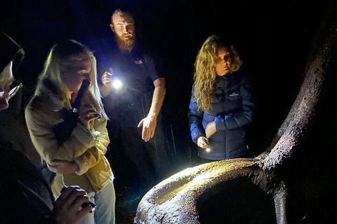 Evening Rainforest & Glow Worm Experience - Go Out 2