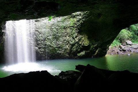 Natural Bridge & Springbrook Waterfalls Tour + Hot Air Balloon With Breakfast - Go Out 2