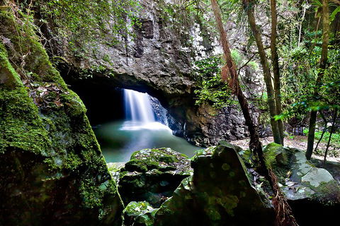 Natural Bridge & Springbrook Waterfalls Tour + Hot Air Balloon With Breakfast - Go Out 4