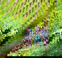 Tasmanian Wine Tour - Pubs and Clubs