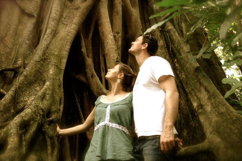 Daintree And Cape Tribulation Full Day Guided Tour - Pubs and Clubs 5