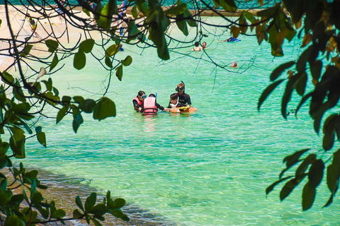 Green Island Day Trip From Cairns - Pubs and Clubs 2