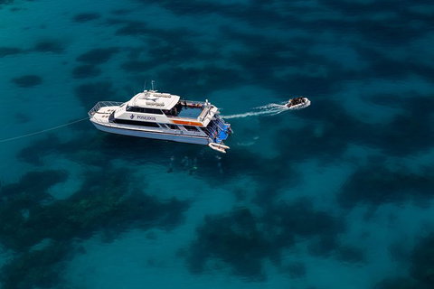 Quicksilver Dive 4 Day PADI Learn To Dive Course - Go Out 1