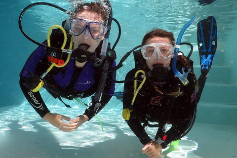 Quicksilver Dive 4 Day PADI Learn To Dive Course - Go Out 2