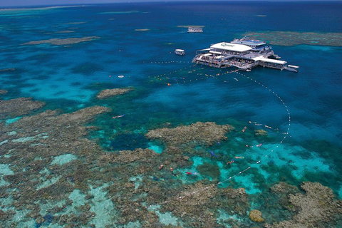 Ultimate 3-Day Great Barrier Reef Cruise Pass - Go Out 3