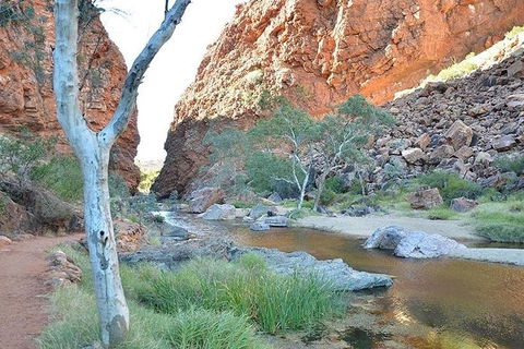 Alice Springs, Uluru Ayers Rock & Kings Canyon 8 Days Touring Package - Pubs and Clubs 2