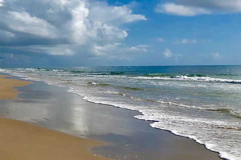 3 Nights 2 Full Days Private Guided Tour Of The Sunshine Coast And Hinterland - Pubs and Clubs 4