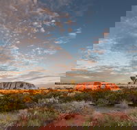 Uluru Kata Tjuta and Kings Canyon Camping Safari from Alice Springs - Pubs and Clubs