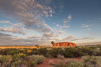 Book Viator Accommodation Vacations Pubs and Clubs Pubs and Clubs