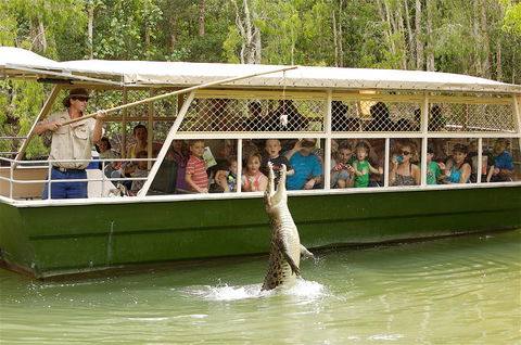 Hartley's Crocodile Adventure Half-Day Tour - Go Out 0