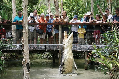 Hartley's Crocodile Adventure Half-Day Tour - Go Out 1