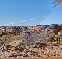 The Amazing Kings Canyon 4-Hours Walking Tour and Hike - Pubs and Clubs