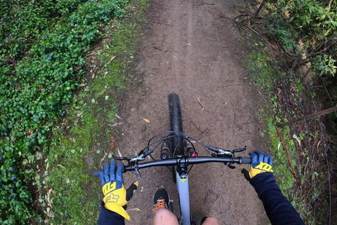 Explore Downhill Mountain In 3-Hour Bike Tour From Hobart - Pubs and Clubs 2