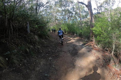 Explore Downhill Mountain In 3-Hour Bike Tour From Hobart - Pubs and Clubs 3