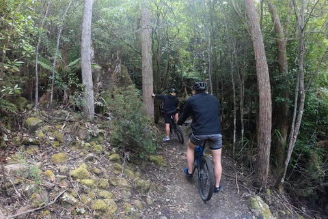 Explore Downhill Mountain In 3-Hour Bike Tour From Hobart - Pubs and Clubs 4