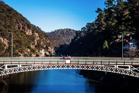 3.5 Hours Walking Tour To Cataract Gorge With Local Guide - Pubs and Clubs 4