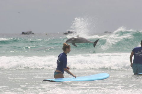 10-Day Surf Adventure From Sydney To Brisbane Including Coffs Harbour, Byron Bay And Gold Coast - Go Out 0