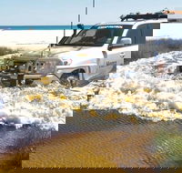 Full-Day Moreton Island 4x4 Sightseeing Tour - Pubs and Clubs