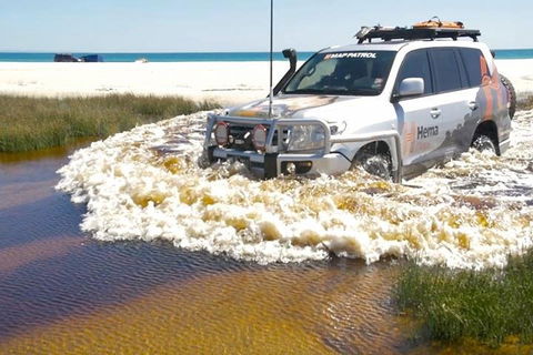 Full-Day Moreton Island 4x4 Sightseeing Tour - Go Out 0