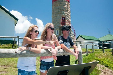 Full-Day Moreton Island 4x4 Sightseeing Tour - Go Out 3