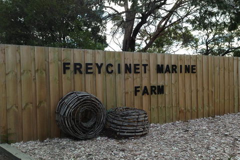 Active Day Tour One-Way From Launceston To Hobart Via Wineglass Bay - Pubs and Clubs 3