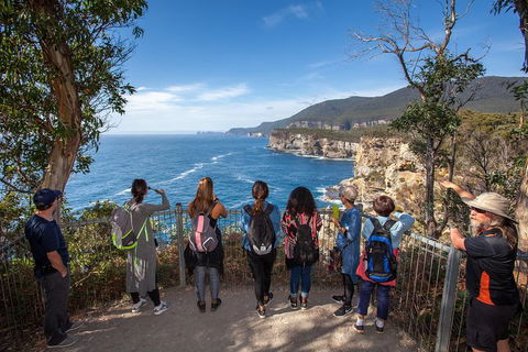Historic Port Arthur Day Trip From Hobart Including Cliff-Top Walk To Waterfall Bay - Go Out 0