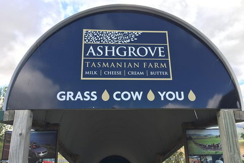 3-Day Tasmania Combo: Launceston To Hobart Active Tour Including Cradle Mountain, Freycinet National Park And Port Arthur - Pubs and Clubs 4